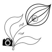 Floating Seed Pod with Abstract Wind Flow and Copy Space concept as A seed pod floats gently in mid air with an abstract wind flow swirling around it symbolizing the cycle of life Cleans Set 2 vector