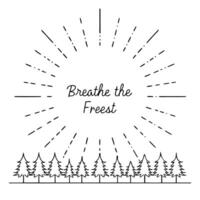 Forest Canopy and Sun Rays Border Frame with Copy Space concept as A border frame with a forest canopy and sun rays streaming through offering generous copy space in the center Br Cleans vector
