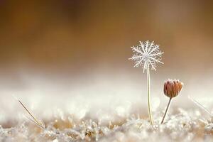 A delicate flower covered with snowflakes, captured with a shallow depth of field, creating a soft, dreamy effect that highlights the beauty of winter photo