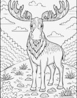 Cute Moose Mammal Coloring Kid Book Page in Black and White. Monochrome and Samples vector