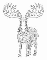 Cute Moose Mammal Coloring Kid Book Page in Black and White. Monochrome and Colored vector