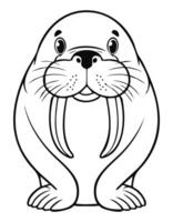 Cute Walrus Coloring Kid Book Page in Black and White. Monochrome and Colored vector