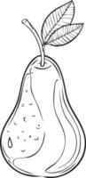 Pear Fruit Food Meal Healthy Coloring Kid Page in Black and White. Monochrome and Colored Samples vector
