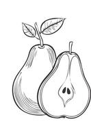 Pear Fruit Food Meal Healthy Coloring Kid Book Page in Black and White. Monochrome and Colored vector