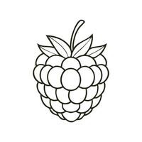 Raspberry Fruit Food Meal Healthy Coloring Kid Book Page in Black and White. and Colored Samples vector