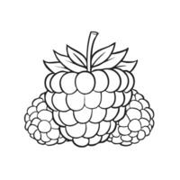 Raspberry Fruit Food Meal Healthy Coloring Kid Book Page in Black and White. Monochrome and Samples vector
