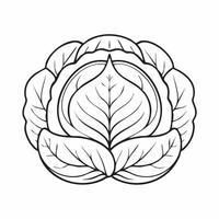 Cabbage Vegetable Vegan Food Meal Healthy Coloring Kid Book Page in Black and White. Monochrome and Colored Samples vector