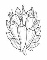 Chili Chilli Vegetable Vegan Food Meal Healthy Coloring Kid Book Page in Black and White. Monochrome and Colored vector
