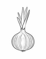 Onion Vegetable Vegan Food Meal Healthy Coloring Kid Page in Black and White. Monochrome and Colored Samples vector