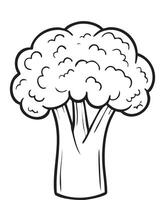 Broccoli Vegetable Spice Vegan Food Meal Healthy Coloring Kid Book Page in Black and White. Monochrome Colored Samples vector