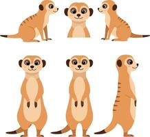 Charming meerkat characters in playful poses illustrated in flat art style for creative projects vector