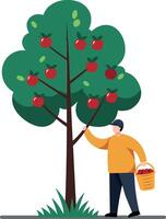 Person picking apples from a tree in flat art vector