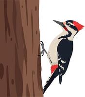 Woodpecker climbing a tree trunk in flat style art vector