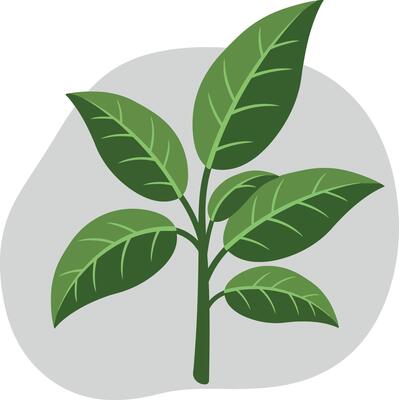 Green plant with vibrant leaves in minimal style on a soft background, showcasing illustration