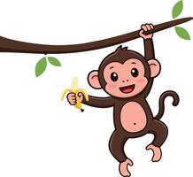Cute monkey hanging from branch with banana flat art vector