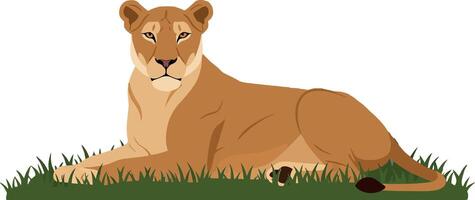 Lioness resting gracefully in a minimal flat art style vector