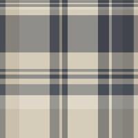 Elegant neutral plaid pattern. Perfect for textile design, website backgrounds, or crafting projects. Subtle yet sophisticated, this image evokes feelings of calmness and understated style. vector