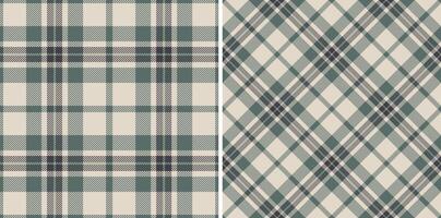 Check texture of pattern plaid textile with a background fabric seamless tartan. Set in earth colors for thanksgiving fashion cozy celebration. vector