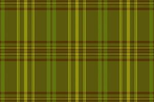 Subtle olive green and gold plaid pattern. Elegant texture ideal for backgrounds, website design, textile prints, or packaging. Creates a sophisticated and calming aesthetic. vector