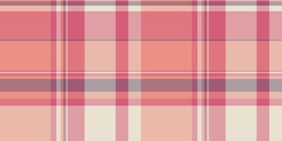 Soft, pastel plaid pattern. Perfect for textile designs, website backgrounds, or scrapbooking projects. This delicate, feminine texture evokes feelings of warmth and comfort. vector