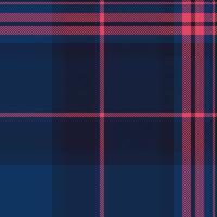 Native background tartan plaid, panel pattern texture. New year seamless check fabric textile in dark and blue colors. vector