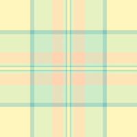 Packing tartan textile plaid, multicolor texture check . Reel seamless pattern background fabric in light and moccasin colors. vector