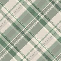 Store plaid texture seamless, proud pattern check fabric. Buffalo tartan textile background in pastel and pastel grey colors. vector