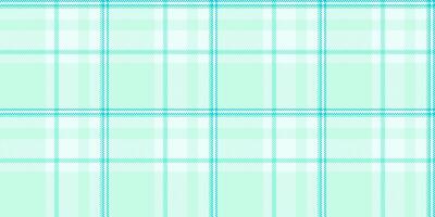 Soft mint green and white plaid pattern. Perfect for backgrounds, textiles, packaging, or website design. A calming and refreshing texture, evoking feelings of serenity and spring. vector