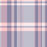 Real seamless background check, pretty tartan plaid pattern. Decor textile fabric texture in pastel and white colors. vector