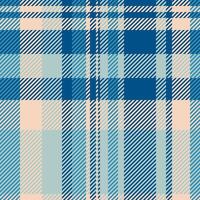 Elegant pastel and navy blue plaid pattern. Perfect for textile designs, backgrounds, or website templates. Subtle yet stylish, this repeating design offers a calming and sophisticated aesthetic. vector