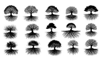 Set of Tree Roots Silhouette Collection in Black and White vector
