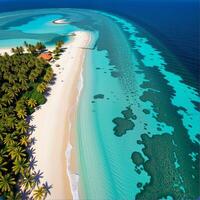 Serene Tropical Beach with Clear Water and Lush Palm Trees photo