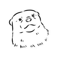 the head of a small predatory Eastern otter vector