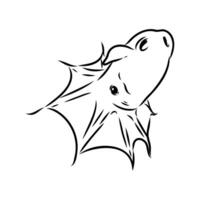 Infernal Vampire Squid sketch vector