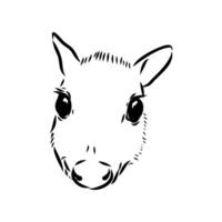 sketch of the head of a small mouse deer vector