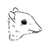 black and white sketch of a mouse deer's head vector
