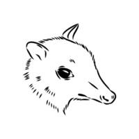 little mouse deer sketch vector