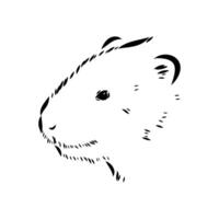 the head of a carnivorous water vole vector