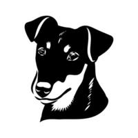head drawing of a German hardy Jagdterrier vector