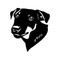 sketch of the head of a German hardy Jagdterrier vector
