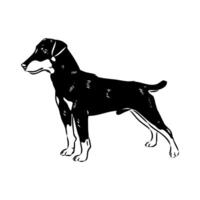 hardy dog German Jagdterrier sketch vector
