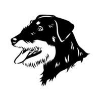 sketch of the head profile of a wire-haired Jaguar terrier vector