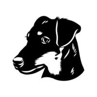 head drawing of a German wire-haired Jagdterrier vector