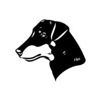 sketch of the head of a wire-haired Jagd terrier vector