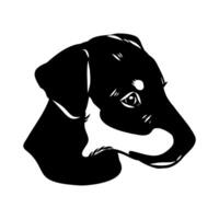sketch of the head of a German wire-haired Jagd terrier vector