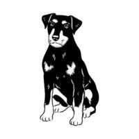 German wire-haired Jagdterrier dog sketch vector