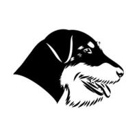 head profile of a hunting dog of a jagdterrier vector
