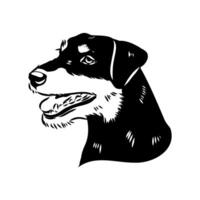 head drawing of a hunting dog of a jagdterrier vector