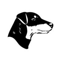 drawing of a dog's head by a German Jagdterrier vector