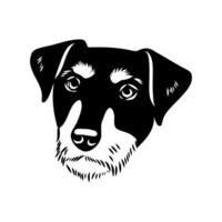 sketch of the head of a hunting dog of a jagdterrier vector